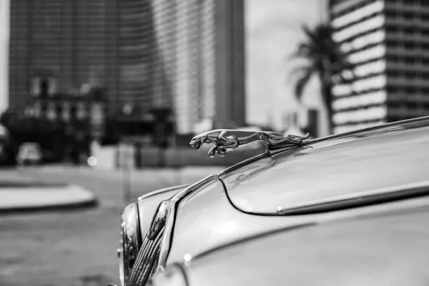 Kasino Prize Land Bingo Android/iOS aplikace